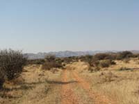 /international/2006Walvisbay/images/Okapuka/thumbnails/okapuka 064.jpg